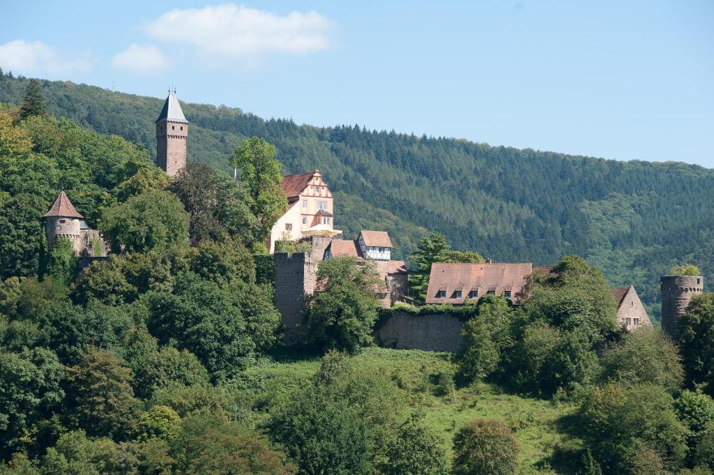 Schlosshotel Хиршхорн Екстериор снимка